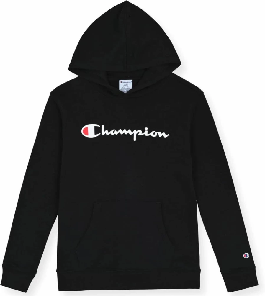 Champion Boys 3-Piece Tracksuit Set - Hoodie, Jogger Pants & Tee for Kids