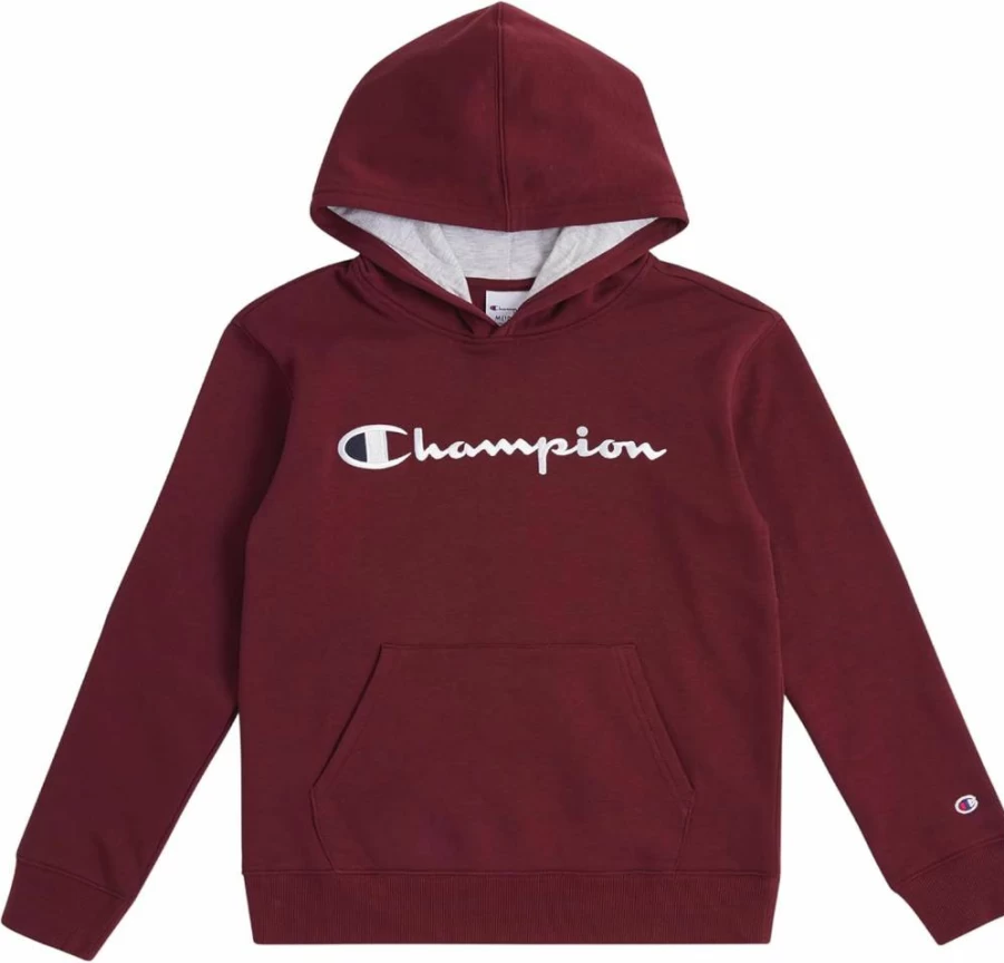 Champion Boys' Fleece Hooded Pullover Sweatshirt for Kids & Youth | Comfortable Cotton Blend Hoodie