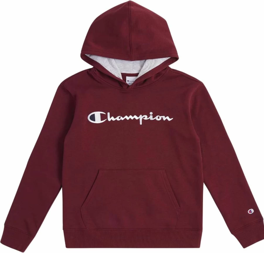 Champion Boys' Fleece Hooded Pullover Sweatshirt for Kids & Youth | Comfortable Cotton Blend Hoodie